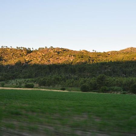 فيلا Pinheirinhos - Quinta De Sao Caetano Carapito المظهر الخارجي الصورة