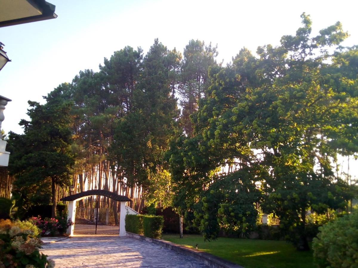 فيلا Pinheirinhos - Quinta De Sao Caetano Carapito المظهر الخارجي الصورة
