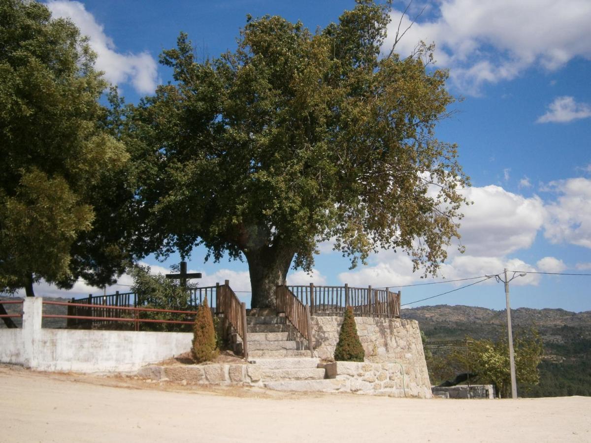 فيلا Pinheirinhos - Quinta De Sao Caetano Carapito المظهر الخارجي الصورة