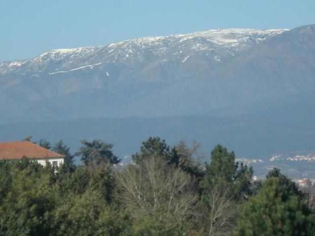 فيلا Pinheirinhos - Quinta De Sao Caetano Carapito المظهر الخارجي الصورة