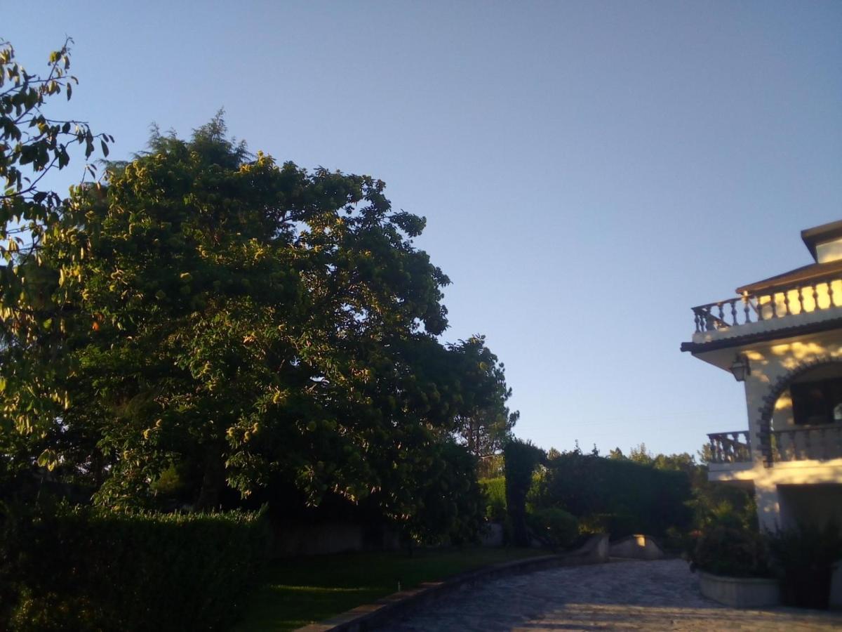 فيلا Pinheirinhos - Quinta De Sao Caetano Carapito المظهر الخارجي الصورة